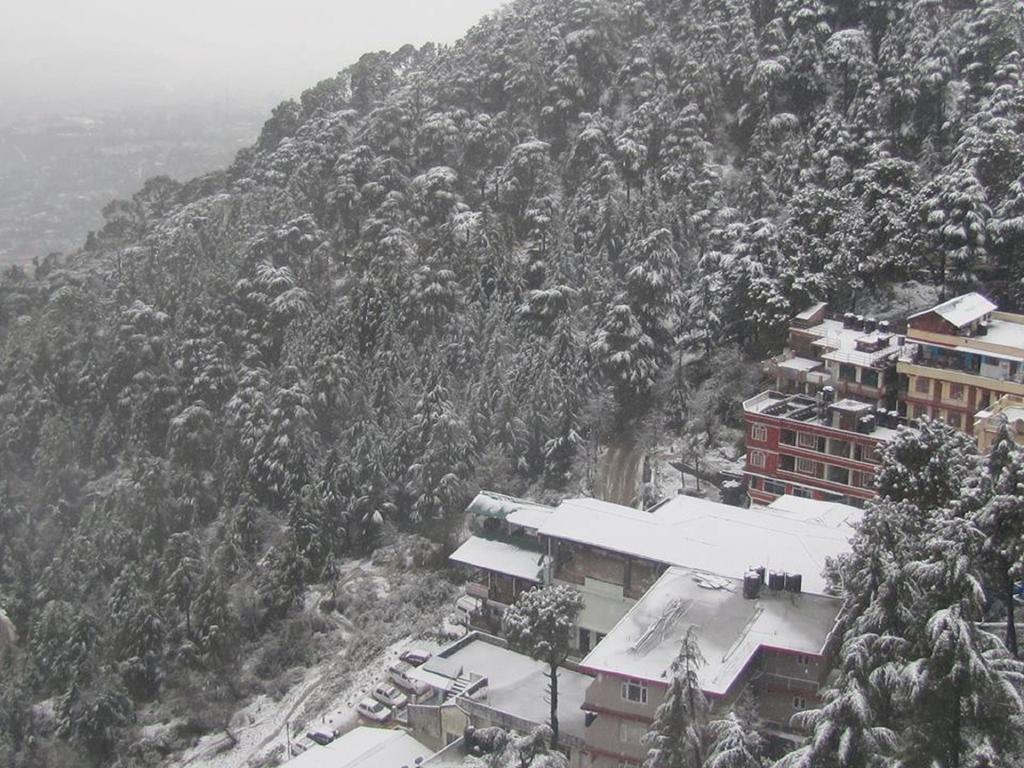 Hotel Deodar Villa Dharamshala Eksteriør bilde