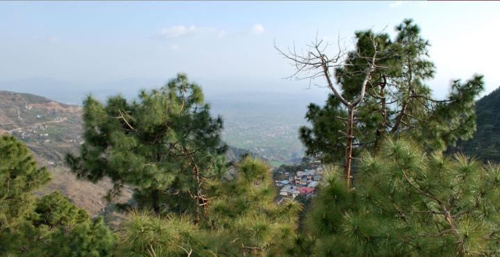 Hotel Deodar Villa Dharamshala Eksteriør bilde